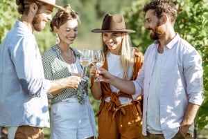 Cape Town: Secret Cellars Cape Wine Tasting and Lunch