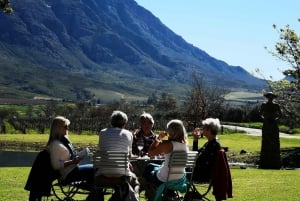 Cape Town: Secret Cellars Cape Wine Tasting and Lunch