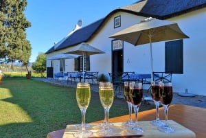 Cape Town: Secret Cellars Cape Wine Tasting and Lunch