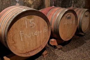 Cape Town: Secret Cellars Cape Wine Tasting and Lunch