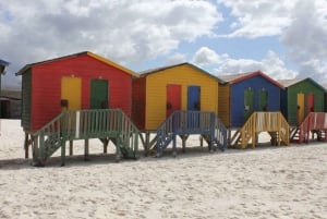 Cape Town: Some Attractions of the Cape (private tour)