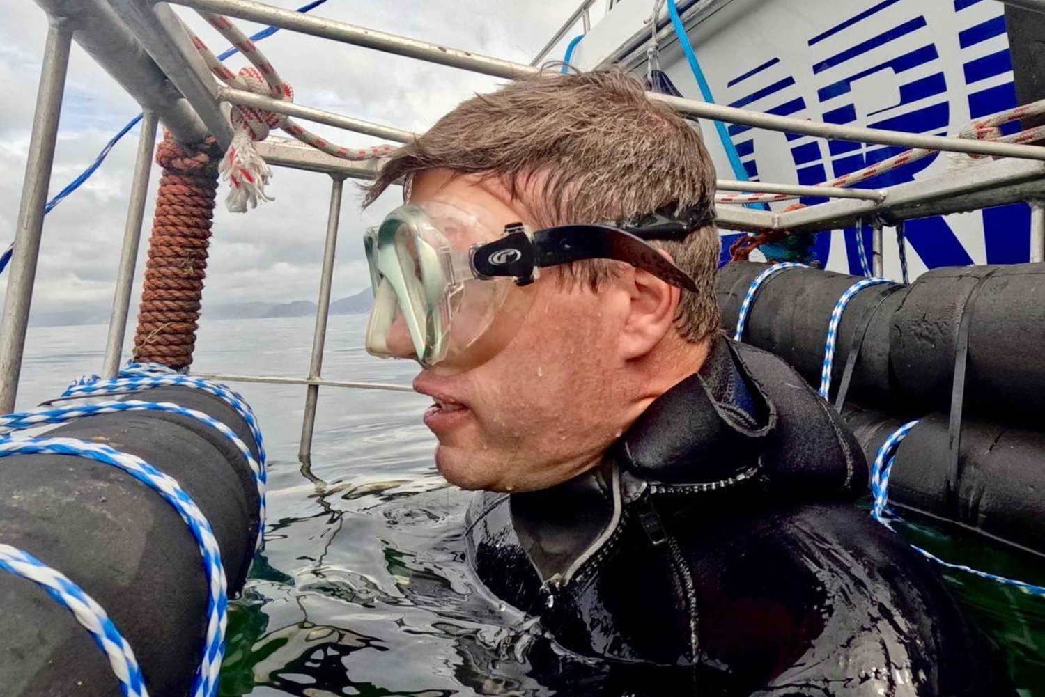 Ciudad del Cabo: buceo en jaula con tiburones con aperitivos y refrescos