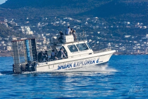 Ciudad del Cabo: buceo en jaula con tiburones con aperitivos y refrescos
