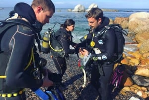 Kapkaupunki: Shark Science SCUBA Diving kokemus