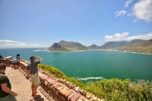 Cape Town Shore Excursion: Table Mountain & Cape Point Tour