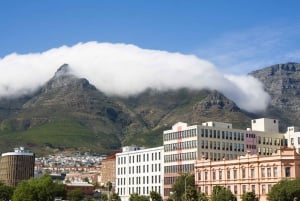 Cape Town Shore Excursion: Table Mountain & Cape Point Tour