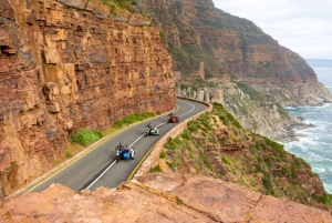 Cape Town: Sidecar Coastline Ride to Lion’s Head Sunset Hike