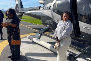 Ciudad del Cabo: tour panorámico en helicóptero (recogida en el hotel)