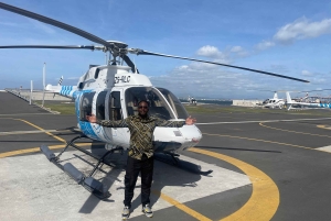 Ciudad del Cabo: tour panorámico en helicóptero (recogida en el hotel)