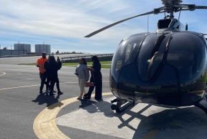 Ciudad del Cabo: tour panorámico en helicóptero (recogida en el hotel)