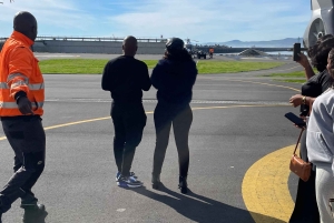 Ciudad del Cabo: tour panorámico en helicóptero (recogida en el hotel)