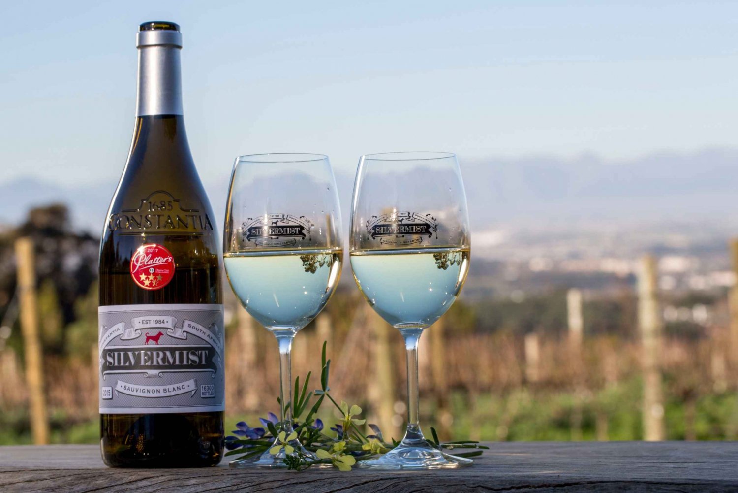 Cape Town: Silvermist Estate Wine Tasting & Drumstruck Show