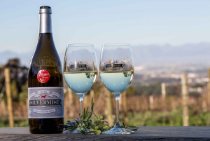 Cape Town: Silvermist Estate vinprøve & Drumstruck Show