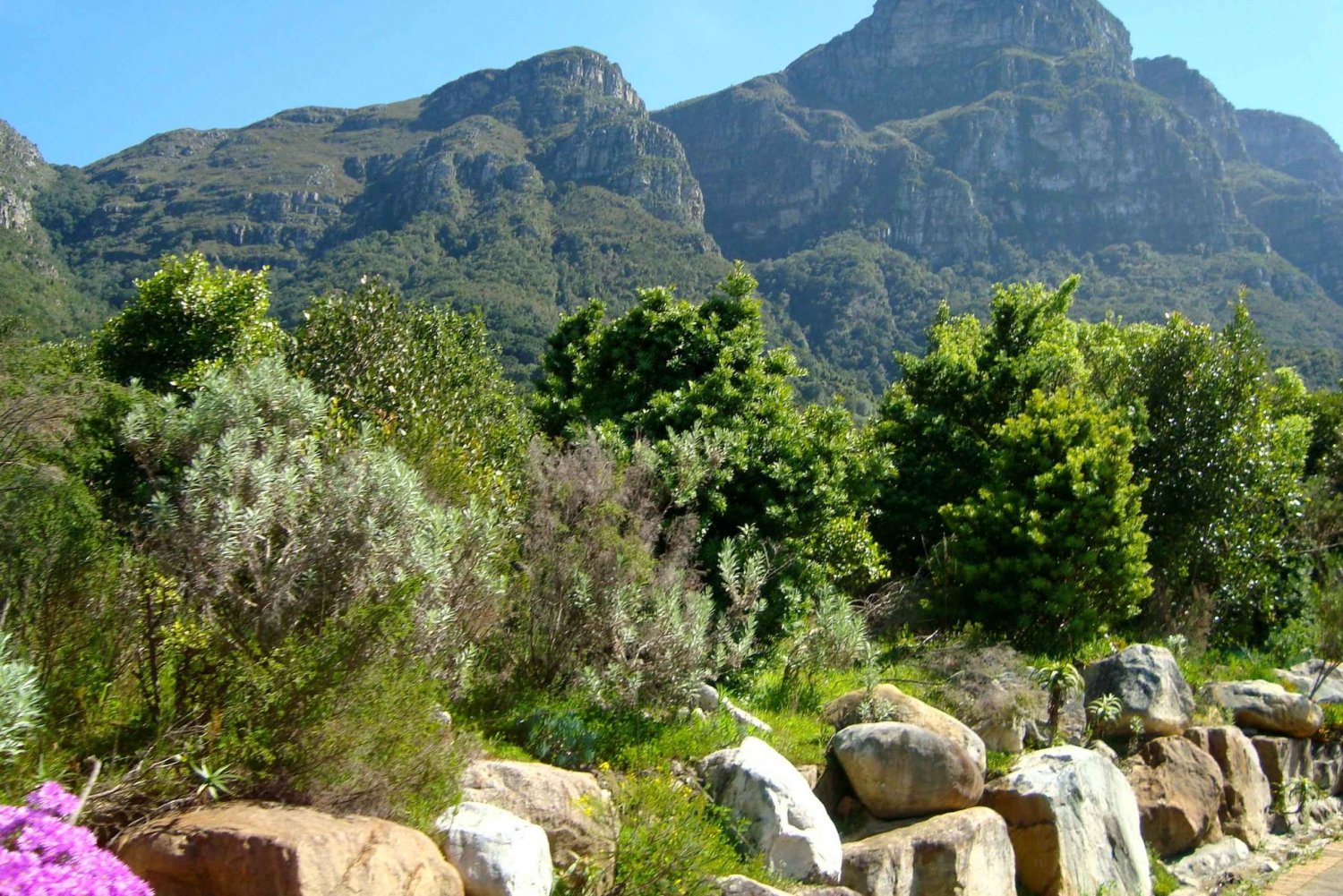 Kapstaden: Vandring i Skeleton Gorge och Kirstenbosch Gardens