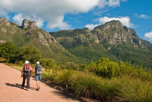 Cape Town: Vandretur i Skeleton Gorge og Kirstenbosch Gardens