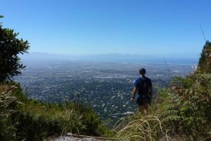 Cape Town: randonnée dans les gorges des squelettes sur Table Mountain