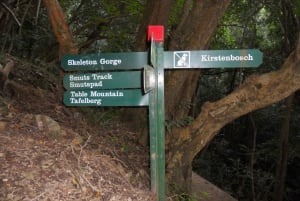 Ciudad del Cabo: caminata Skeleton Gorge en Table Mountain