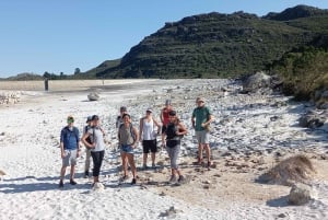 Ciudad del Cabo: caminata Skeleton Gorge en Table Mountain