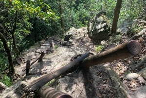 Kapkaupunki: Skeleton Gorge -vaellus Pöytävuoren huipulle