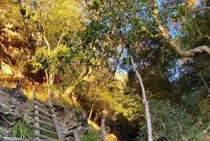 Kapkaupunki: Skeleton Gorge -vaellus Pöytävuoren huipulle