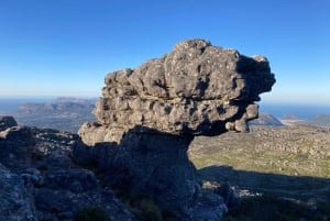 Kapkaupunki: Skeleton Gorge -vaellus Pöytävuoren huipulle