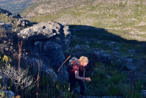 كيب تاون: رحلة عبر سكيليتون جورج إلى قمة جبل تيبل