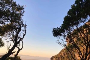 كيب تاون: رحلة عبر سكيليتون جورج إلى قمة جبل تيبل