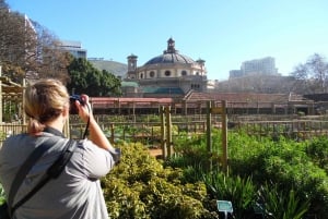 Cidade do Cabo: espetacular jardim botânico com visita guiada