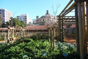 Kapkaupunki: Upea kasvitieteellinen puutarha ja opastettu kierros