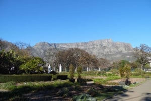 Cape Town: Spektakulær botanisk hage med guidet tur