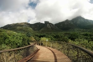 Cape Town: Spektakulær botanisk hage med guidet tur