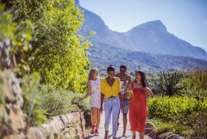 Ciudad del Cabo: Espectacular Jardín Botánico con visita guiada