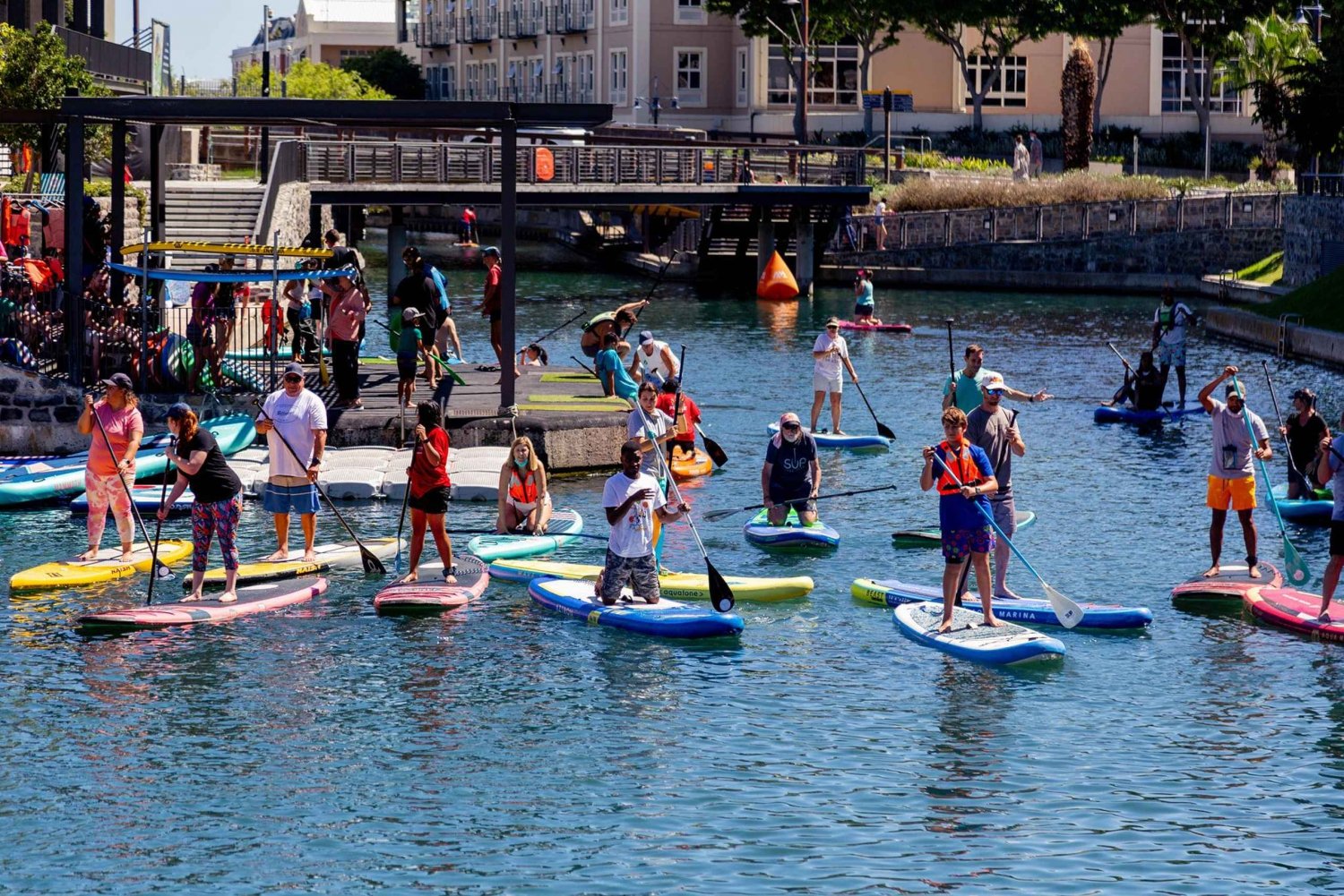 Kapstaden: Stand-Up Paddle Board-uthyrning med grundläggande utbildning