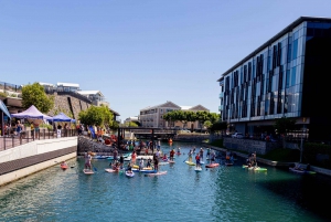 Cape Town: Udlejning af stand-up paddle board med grundlæggende træning