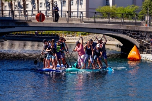 Cape Town: Udlejning af stand-up paddle board med grundlæggende træning