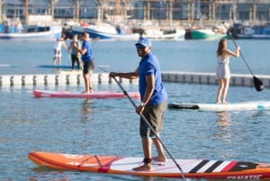 Città del Capo: esperienza di stand-up paddleboard
