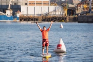 Кейптаун: опыт стоячей доски для серфинга