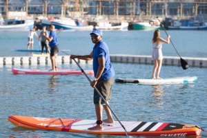 Kaapstad: Stand-up Paddleboard-ervaring