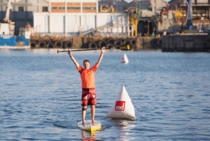 Kaapstad: Stand-up Paddleboard-ervaring