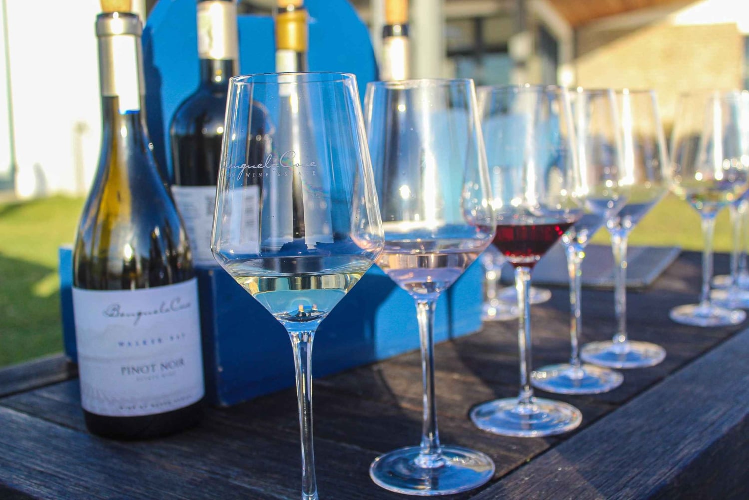 Cape Town: vinsmaking i Stellenbosch og Franschhoek