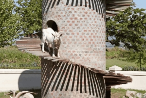 Le Cap : excursion d'une journée à Stellenbosch, Franschhoek et Paarl Wine