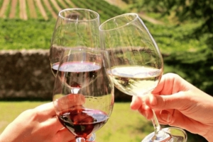 Le Cap : excursion d'une journée à Stellenbosch, Franschhoek et Paarl Wine