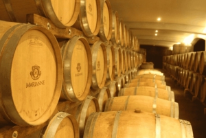 Le Cap : excursion d'une journée à Stellenbosch, Franschhoek et Paarl Wine