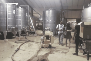 Le Cap : excursion d'une journée à Stellenbosch, Franschhoek et Paarl Wine