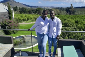 Le Cap : excursion d'une journée à Stellenbosch, Franschhoek et Paarl Wine