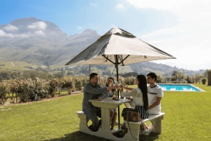 Le Cap : excursion d'une journée à Stellenbosch, Franschhoek et Paarl Wine