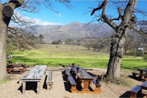 Le Cap : excursion d'une journée à Stellenbosch, Franschhoek et Paarl Wine