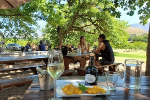 Le Cap : excursion d'une journée à Stellenbosch, Franschhoek et Paarl Wine