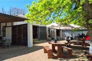 Le Cap : excursion d'une journée à Stellenbosch, Franschhoek et Paarl Wine