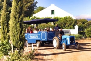 Cape Town: Stellenbosch Hop-On Hop-Off Tractor Wine Tour